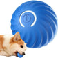 🎁Automatischer intelligenter Hundeball zum Necken🐶