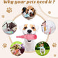 🐶HOT SALE 49% OFF🎁Chew & Squeeze Buddy Play Bottle Toy