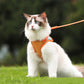 🐾Anti-Flucht-Reflexionsband für Katzen mit Leine
